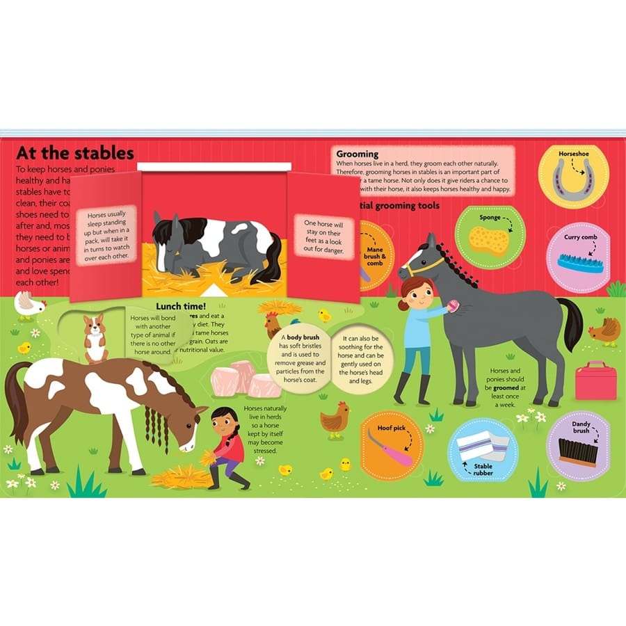 All About Horses & Ponies