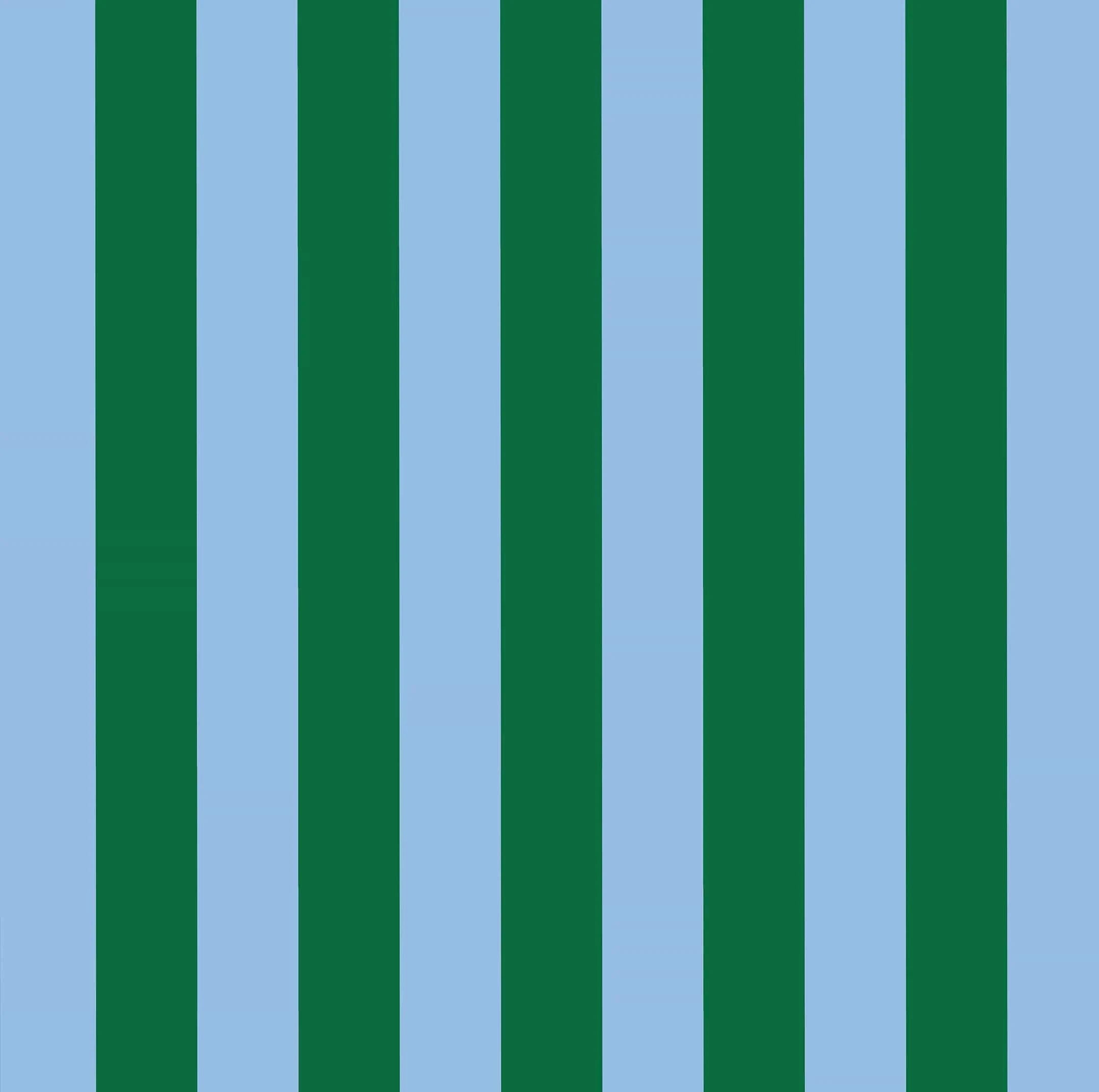 Green Blue Stripe Large Zip Pouch
