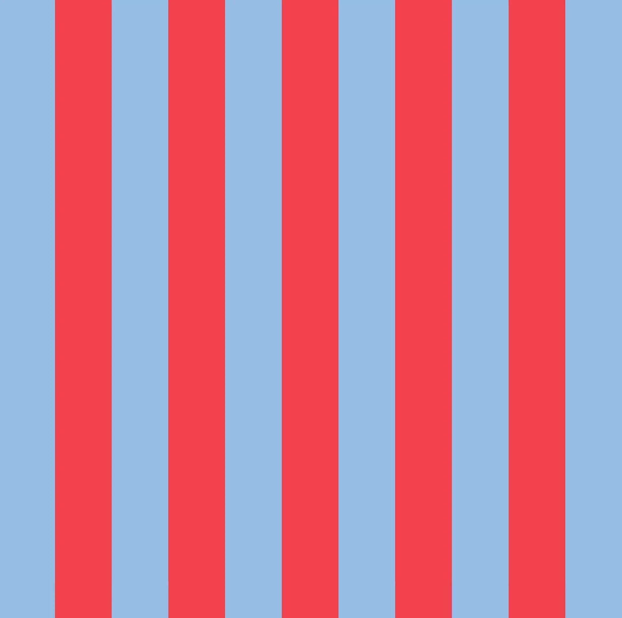 Red Blue Stripe Pencil Case