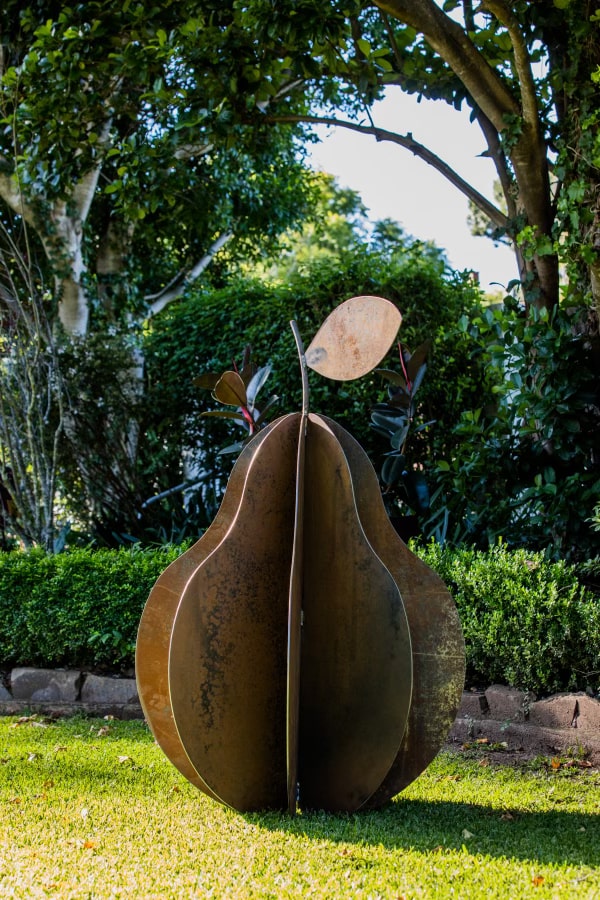 Large Pear - 1.5m