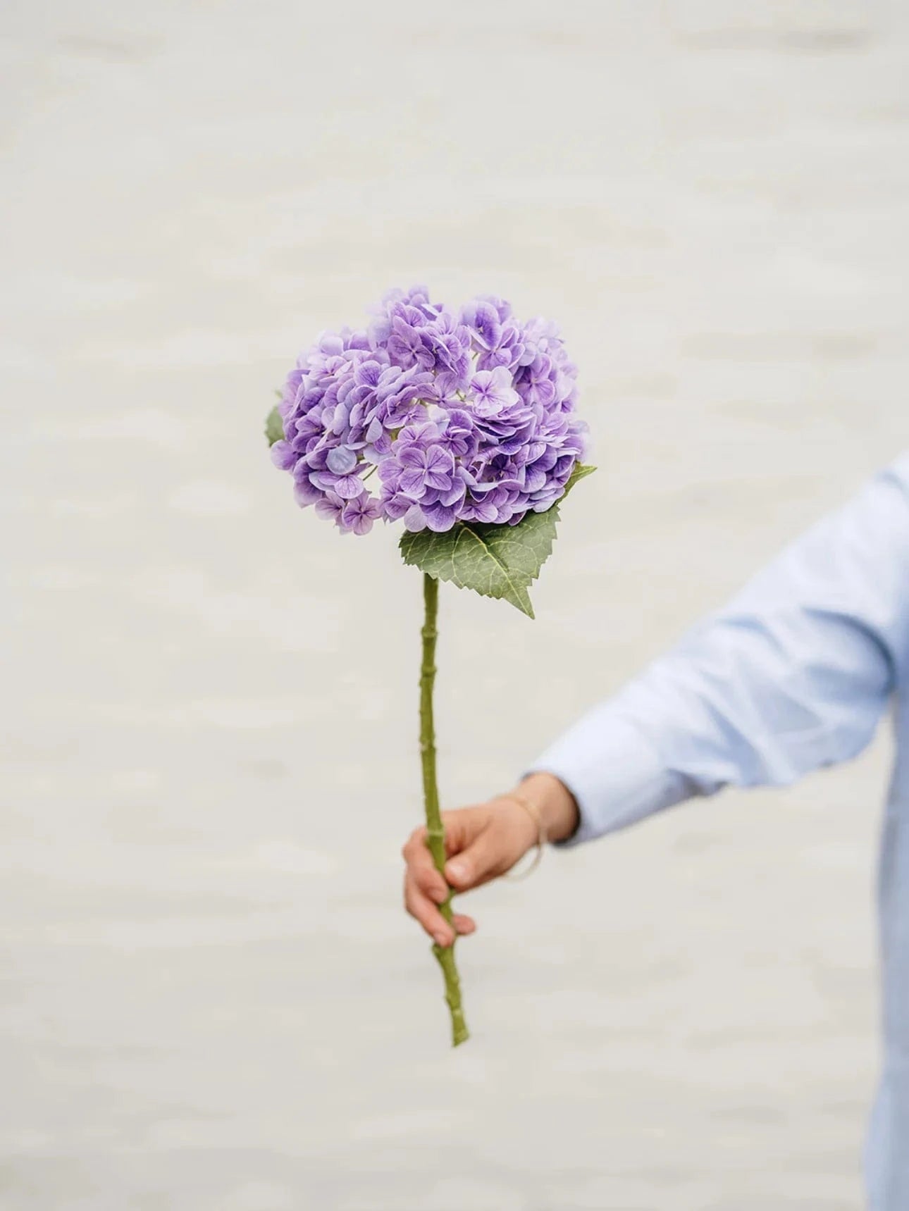 Faux Hydrangea Stem