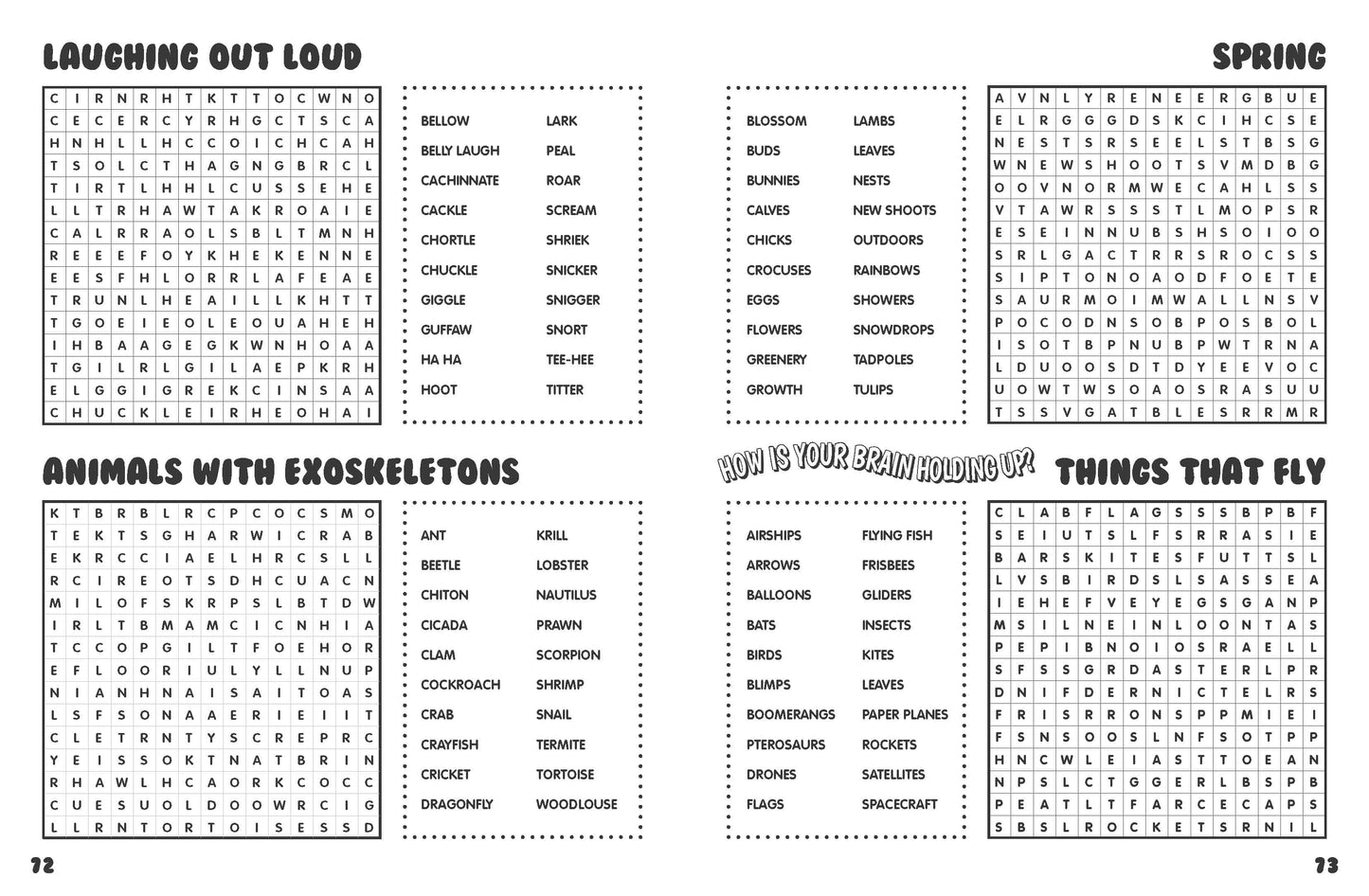 Brain-Busting Puzzles for Kids - Word Search