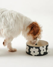 Flower Face Dog Bowl