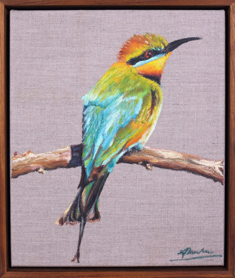 Rainbow Bee Eater