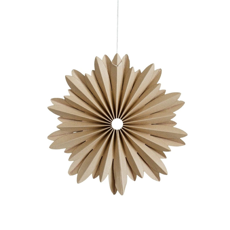 Flaxseed Hanging Star Ornament