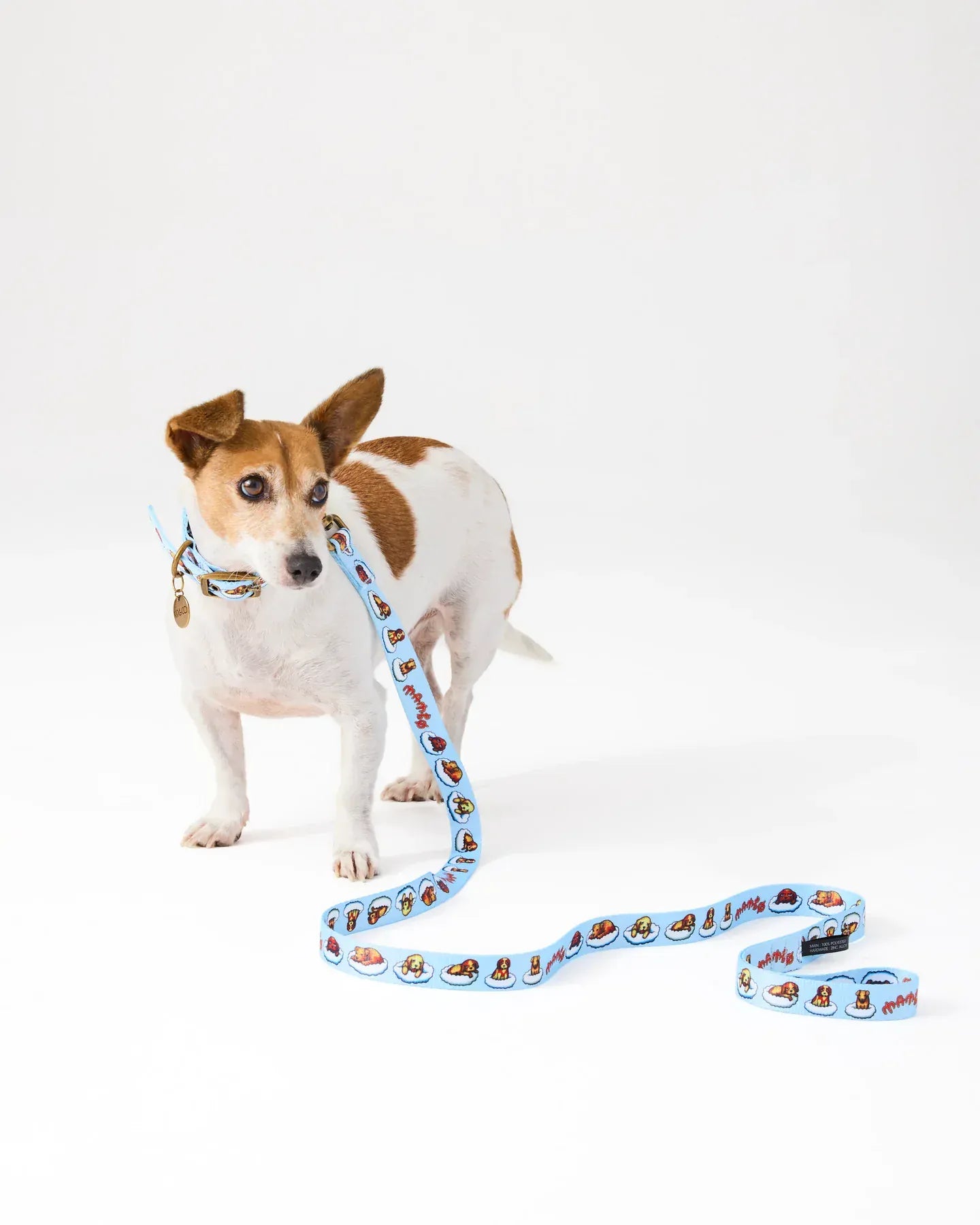 Kip&Co x Mambo Puppies Dog Lead | Small