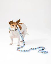 Kip&Co x Mambo Puppies Dog Lead | Small