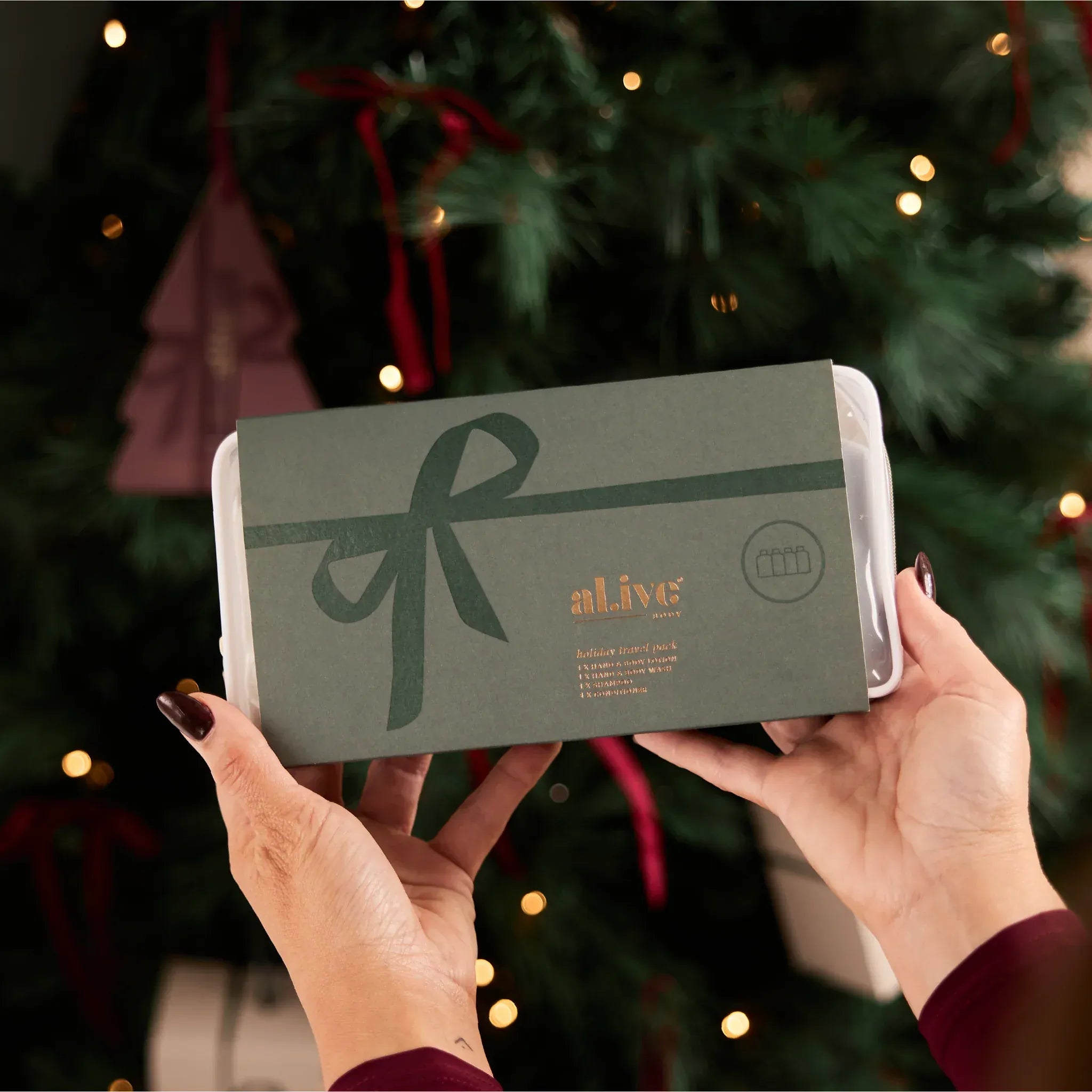 Holiday Hair + Body Travel Pack