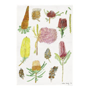 Tea Towel | Banksia