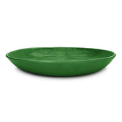 Large Dish
