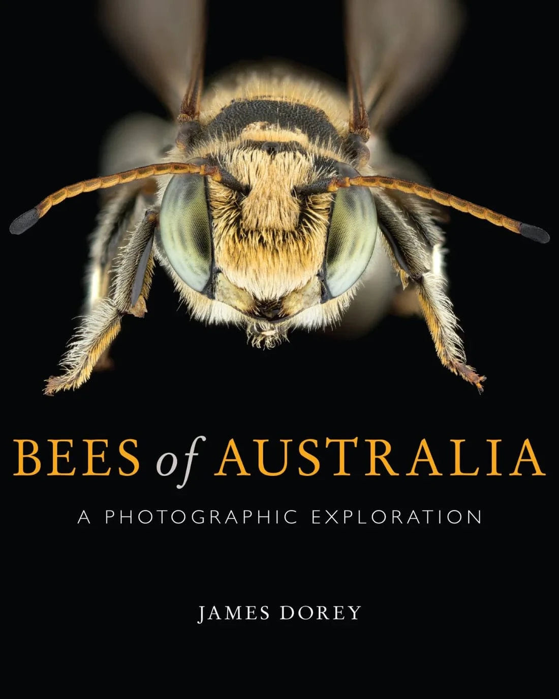 Bees of Australia