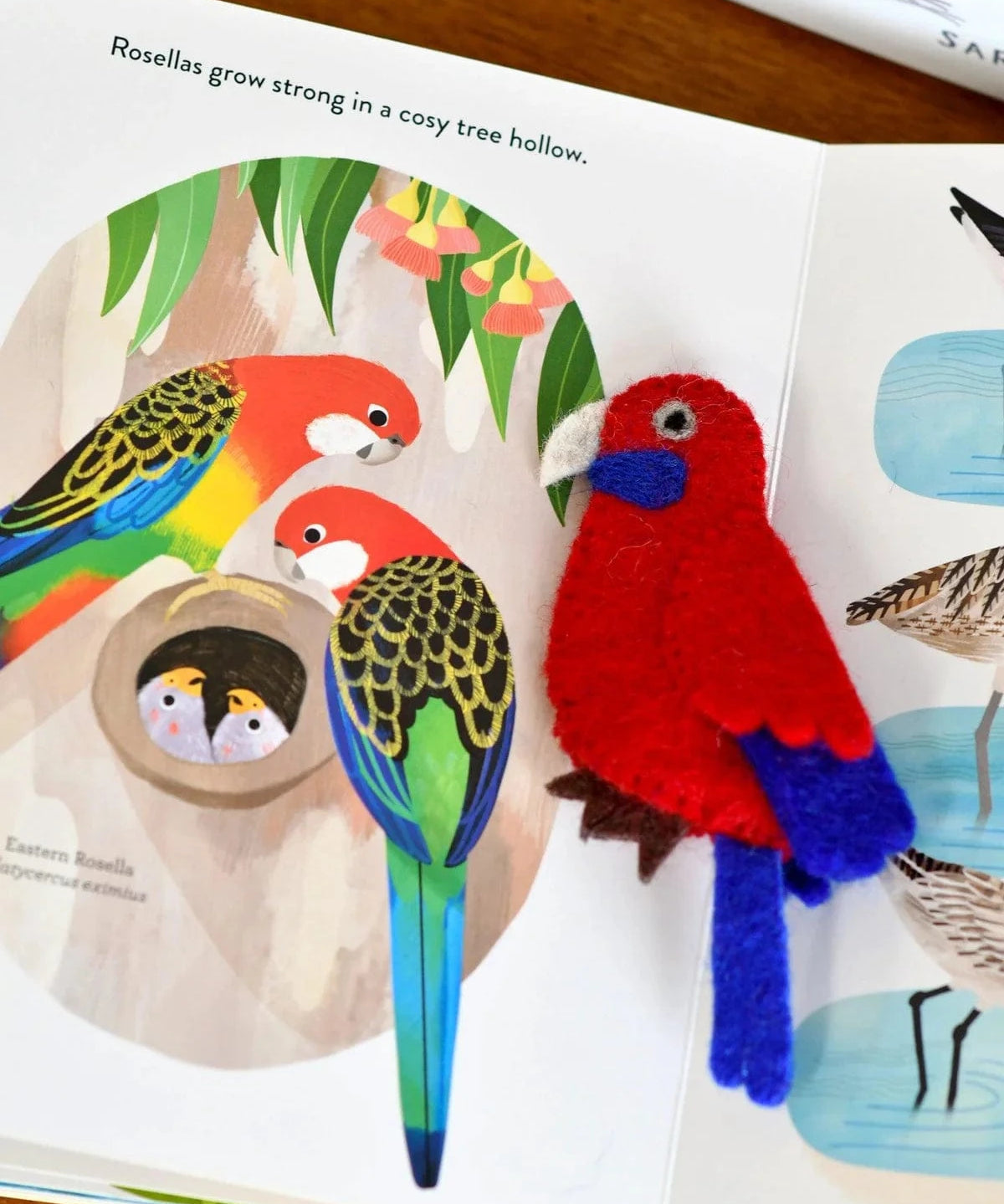 Busy-Beaks-Finger-Puppets-Book-8_jpg.webp