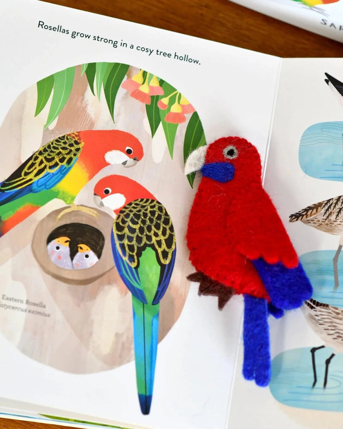 Busy Beaks Finger Puppets + Book Set by Sarah Allen