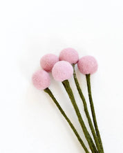 Felt Light Pink Billy Buttons | Set of 5 Stems