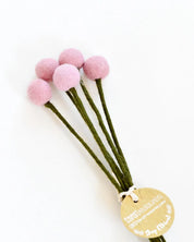 Felt Light Pink Billy Buttons | Set of 5 Stems