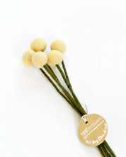 Felt Light Yellow Billy Buttons | Set of 5 Stems