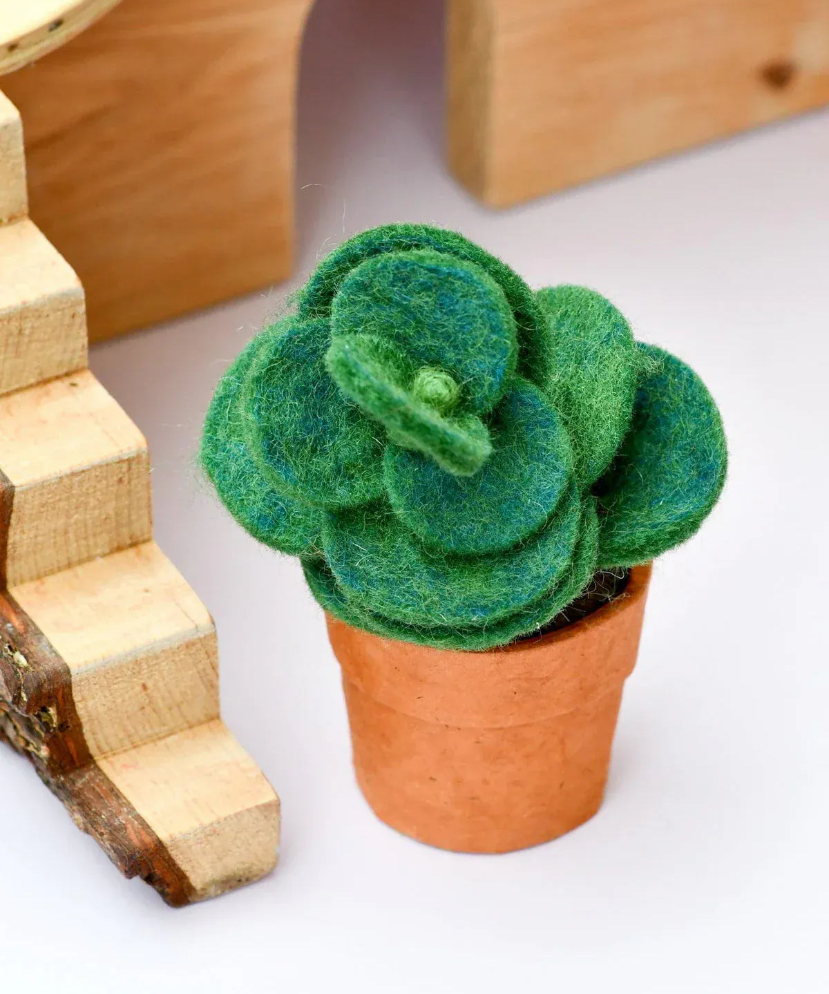 Felt-Jade-Succulent-Plant-2_jpg.webp