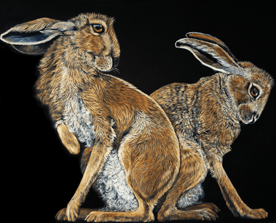 Split Hares
