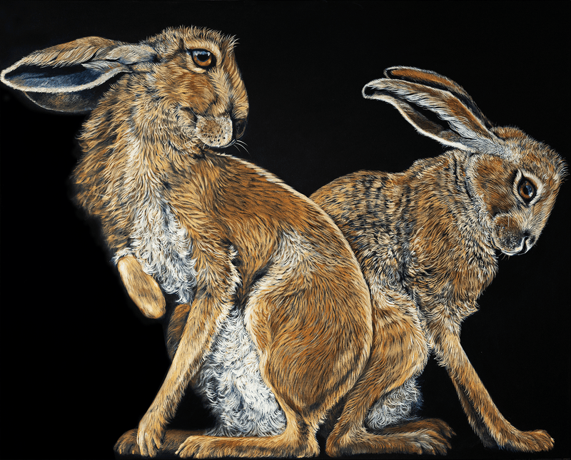 Split Hares