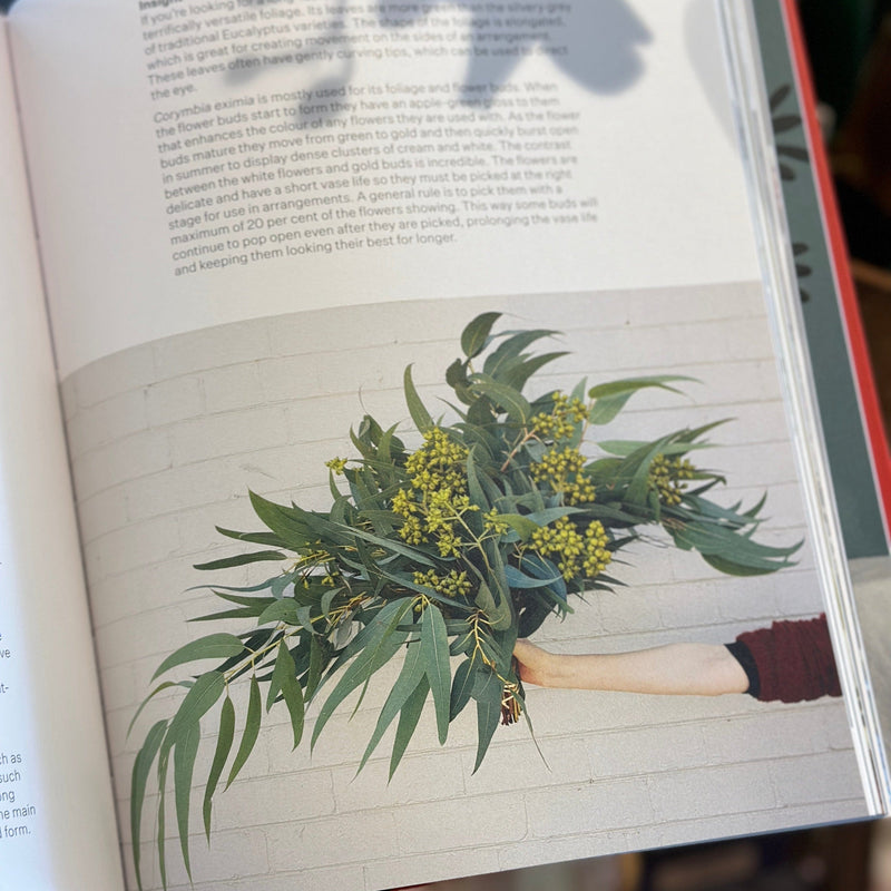 Bush Flowers: Australian Flowers and Foliafe for Decoration