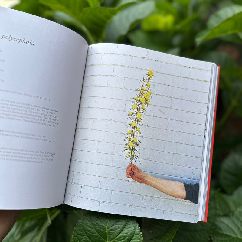 Bush Flowers: Australian Flowers and Foliafe for Decoration