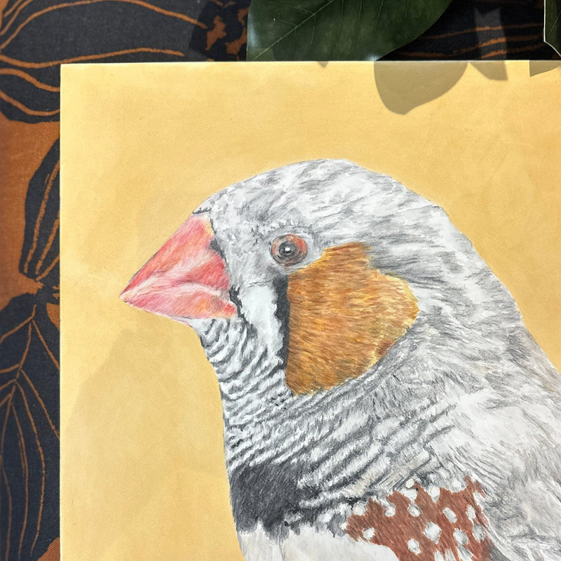 Frederick the Finch
