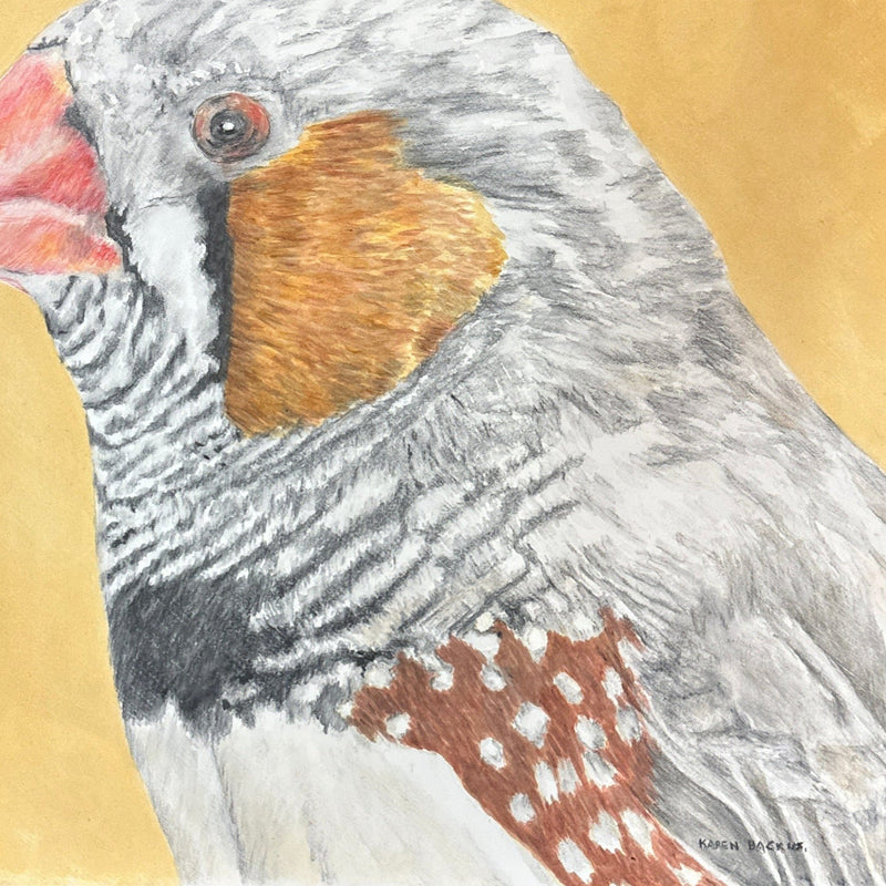Frederick the Finch