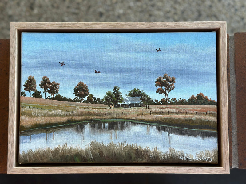 The Dam By The Homestead