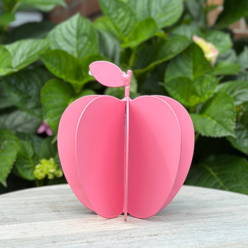 Powder Coated Apple - Pink