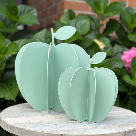 Powder Coated Apple - Aqua