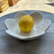 Scalloped Dish | Small