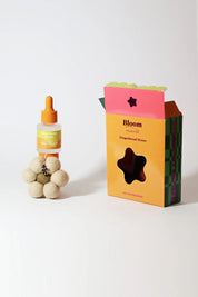 Bloom Christmas Collection | Gingerbread House Air Freshener