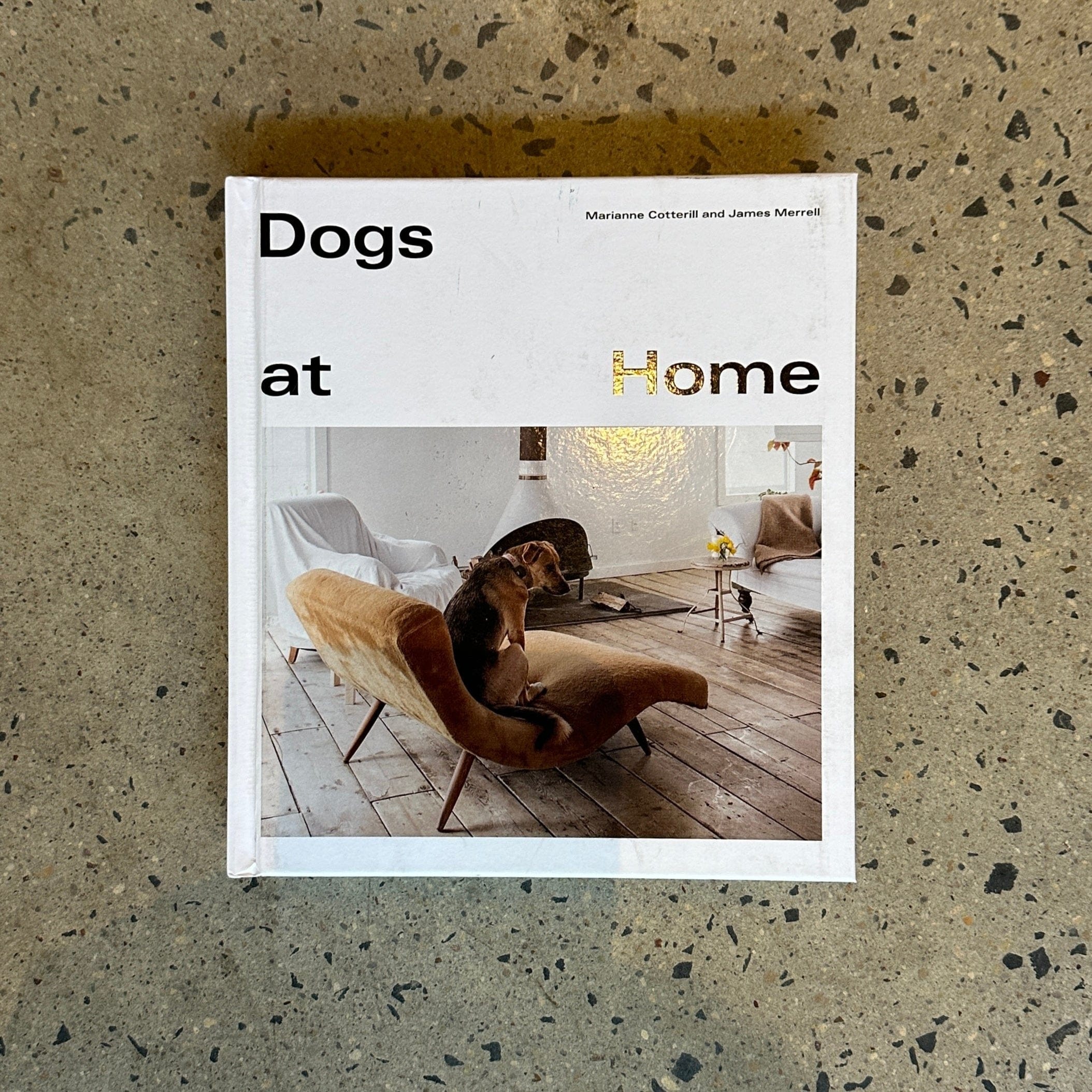 Dog at Home