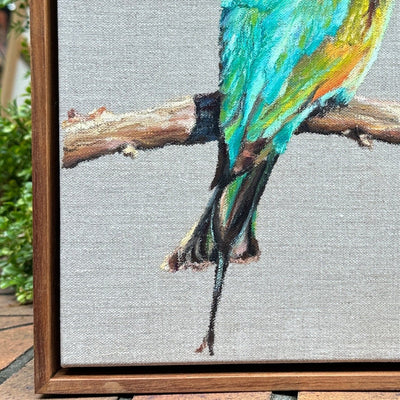 Rainbow Bee Eater