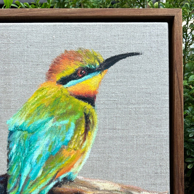 Rainbow Bee Eater