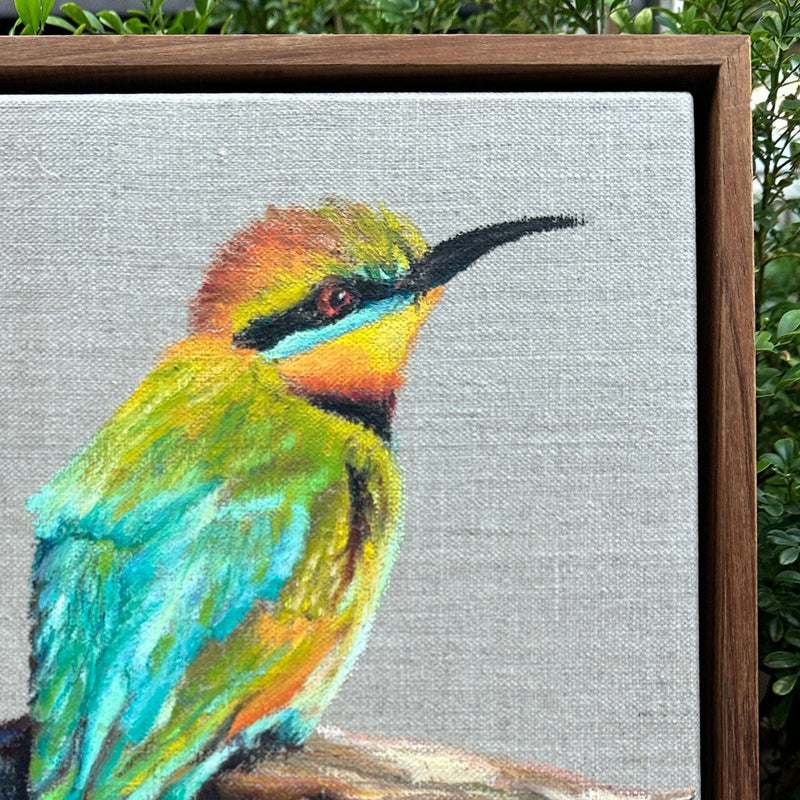 Rainbow Bee Eater