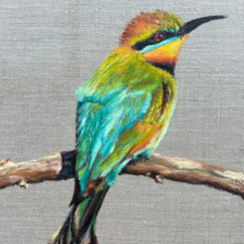 Rainbow Bee Eater