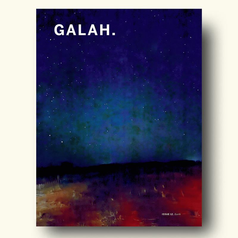 Galah: Issue 12