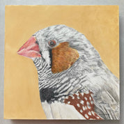 Frederick the Finch