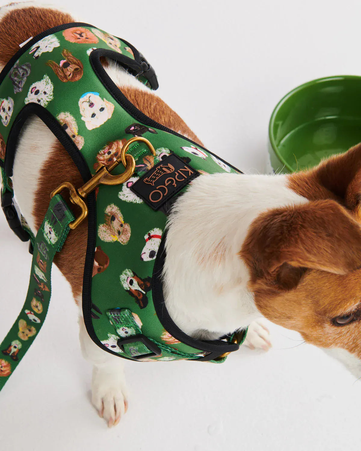 Dog Park Dog Harness | Small