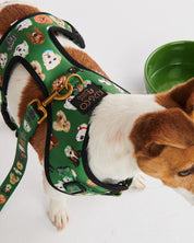 Dog Park Dog Harness | Small