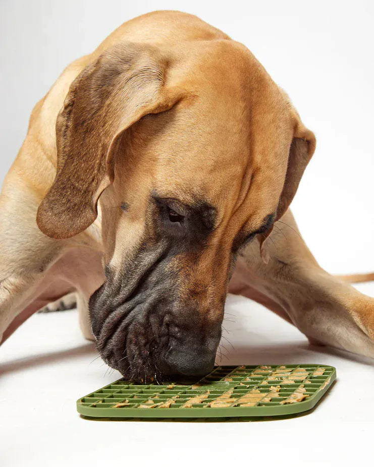 DOG Lick Mat | Khaki