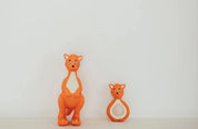 Mizzie Teething Gift Set