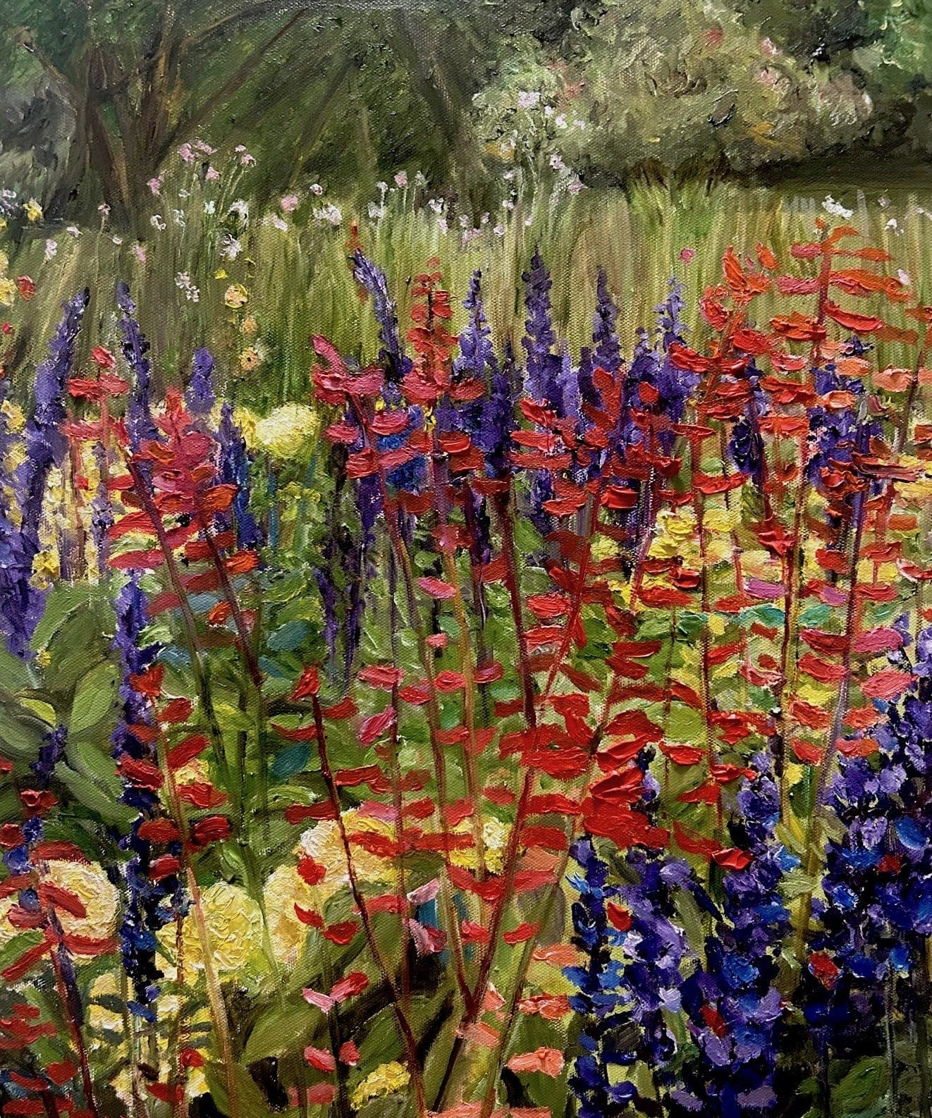 O-Sullivan--Anne---Salvia---water-based-oil-on-canvas--50x40cm--2024.jpg