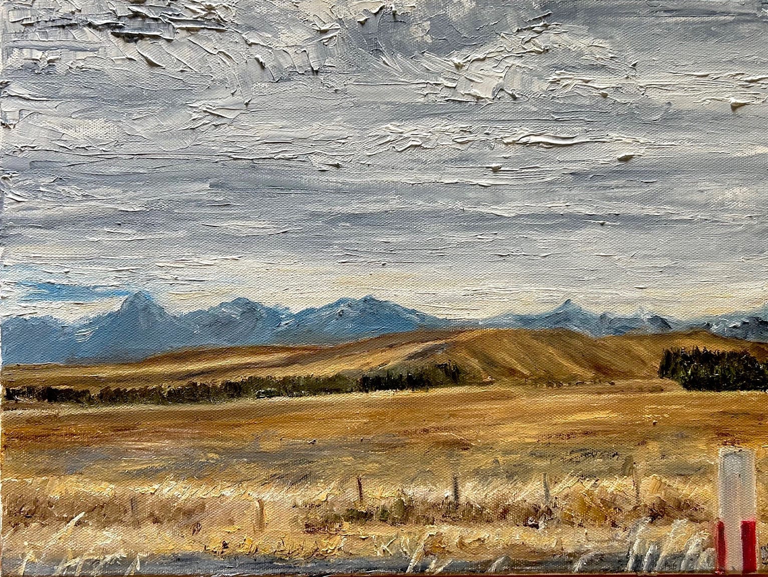 O-Sullivan--Anne---Silverado---waterbased-oil-on-canvas--30x40cm--2024.jpg