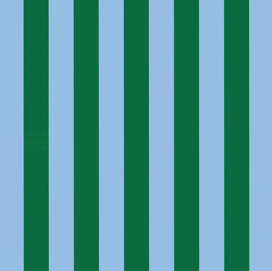 Green Blue Stripe Pencil Case
