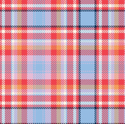 Tartan Pencil Case