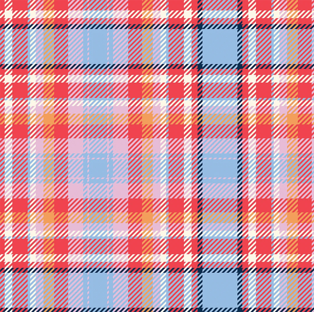Tartan Takeaway Bag