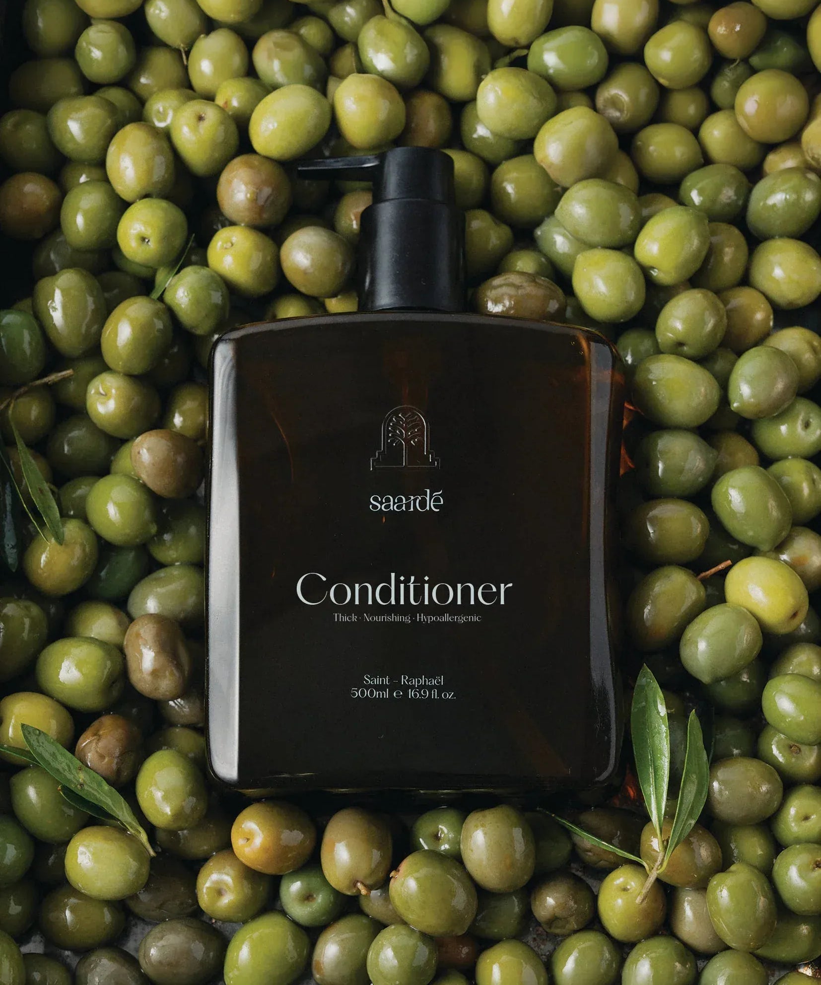 Shampoo_on_olives_conditioner_jpg.webp