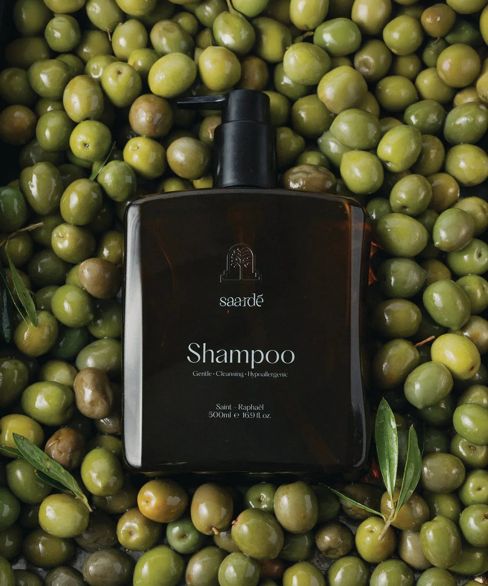 Shampoo_on_olives_extended_jpg.webp